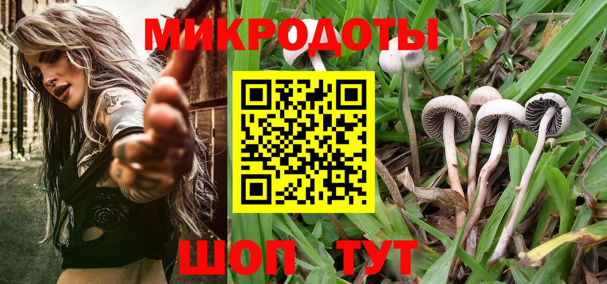 Псилоцибиновые грибы Magic Shrooms Лыткарино