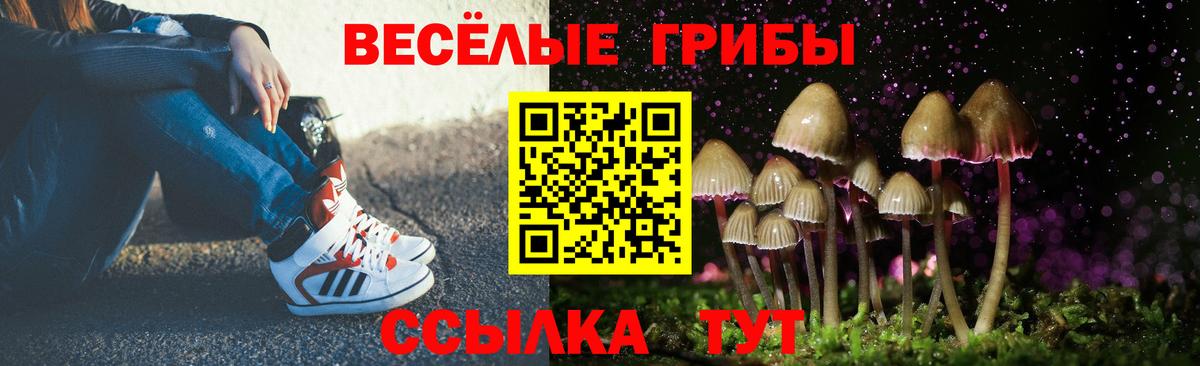 Галлюциногенные грибы Cubensis  Вход с VPN  закладки  Лыткарино 